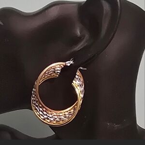 Elegant Gold and Silver Hoop Earrings